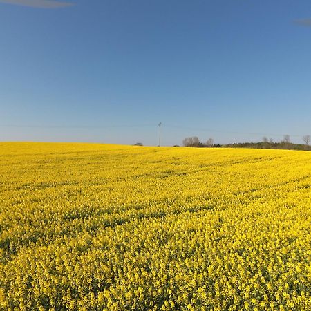 Rabenkirchen-FaulückSchleiblick App 6公寓 外观 照片